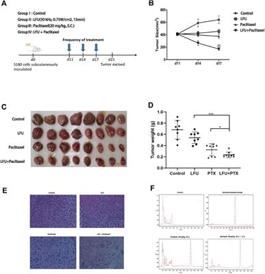 Low-frequency ultrasound irradiation increases paclitaxel-induced sarcoma cells apoptosis and facilitates the transmembrane delivery of drugs